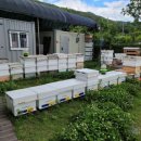 경남양봉산업 이미지