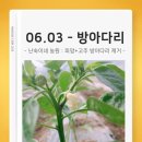 (주)방아다리 이미지