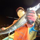 제주은갈치 이미지