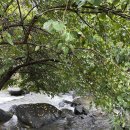 그곳만이 내 세상 이미지