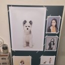 몽그라피 이미지