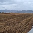 동읍스카이공인중개사사무소 이미지