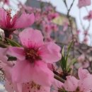 꺽쇠한우 이미지