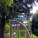 중앙체육공원 농구장 이미지