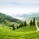 신한아그로 이미지