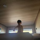 국도21호 은행나무길 | 파라다이스도고,현충사,곡교천은행나무길 - 가을정취 만끽🍂