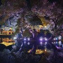 사랑의연못 이미지