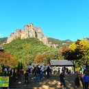 청송 Daum카페
