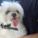 관양2동 행정복지센터 이미지