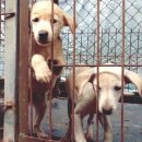 울진동물병원 이미지