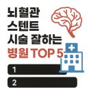 (주)브이아이피 응급환자이송센터 | [2025 최신판] 뇌혈관 스텐트 시술 잘하는 병원 TOP 5 – 어디서 받아야 후회 없을까?