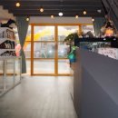 하이펫 애견샵 이미지