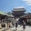 도쿄 아사쿠사 센소지, 나카미세도리, 먹거리 후기