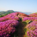 태진주유소 이미지