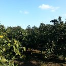 이석호공인중개사사무소 이미지