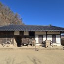 리틀포레스트 티스토리