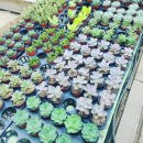 인천만석초등학교 이미지