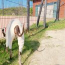 풍경운동장 화장실 이미지