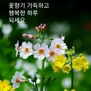 🍒 4월 21일 금요일 간추린 아침뉴스입니다 이미지