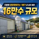 전남 양계장매매 곧 지붕에 태양광 1메가 설치예정(매물번호 3048) 이미지