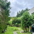 베로스테이 이미지