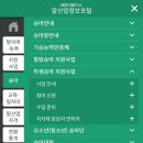 청학로학교길 | 남양주 승마장 별내 홀스마스터즈승마클럽 학생승마지원사업 승마강습 후기