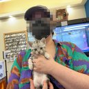 펫캐슬 강아지고양이 애견샵 의정부점 | 의정부 깨끗한 애견샵에서 건강한 가족 맞이하세요!