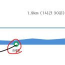 댕댕택시 이미지