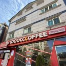 천씨씨커피 부천대점 | 진영신도시카페 김해진영테이크아웃카페 천씨씨커피 김해진영점 방문후기