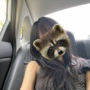 남친몰래 | 팔뚝 지방흡입 남자친구•남편 몰래 가능할까? 남친 몰래 팔 지흡 후기 / 멍 자국 커버 가리는 팁
