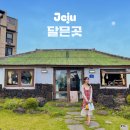 여름에 어울리는 캔들공예 | 제주 소품샵 달믄곳 동쪽 여행에서 꼭 들려야 할 감성 스팟