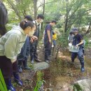 완산-20 이미지