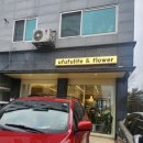 우후후라이프앤플라워 이미지