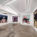 (주)바이나우 이미지