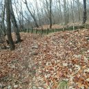 궁내초교 이미지