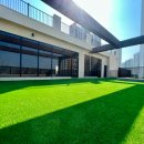 싱글댕글 애견유치원앤호텔 이미지