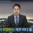 [KBS제주 대담] 곳곳에서 위협받는 제주 바다 돌고래들 이미지