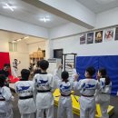 푸르매태권도 이미지