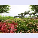 곡성-086 티스토리