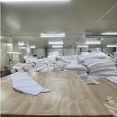 풍성이불집 이미지