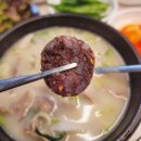 정평역 | [경산 정평역 맛집] 잡내 없는 인생 국밥! 수성구 탄탄국밥 솔직 후기