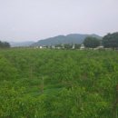 (주)정원팜 이미지