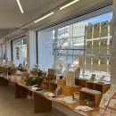 숙이네꼬마김밥&커피2호점 | 260124 겨울의 강릉 (2)