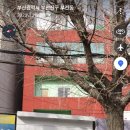 커들리플라워 - 부산진구 서전로 19 | 커들리플라워