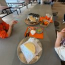 반달농장 | [경기투어패스] 2일차 벼꽃농부 반달과일샌드만들기 오란다강정 만들기체험 음료만들기체험 김포 아이와...