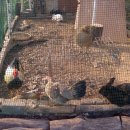 가나안양곡 이미지