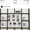 개인생활펫 이미지