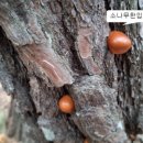 문방3리마을회관 네이버블로그