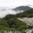 숲속바다풍경