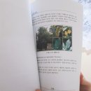 아람향 이미지